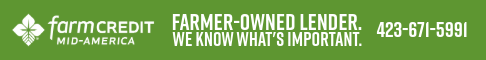 Banner Advertisement