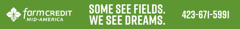 Banner Advertisement