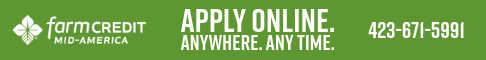 Banner AD